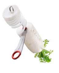 Stainless Steel Spiral Cutter in use cutting a radish.
